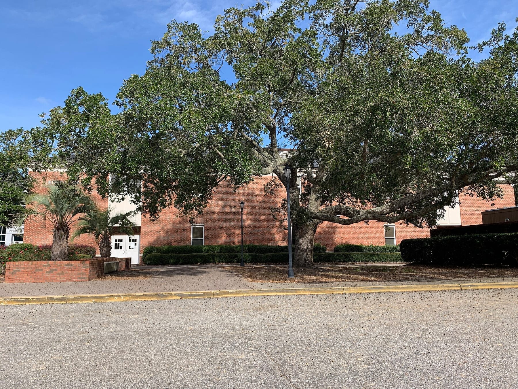 Kimbel Library (photograph from the Wikimedia Commons category Coastal Carolina University)