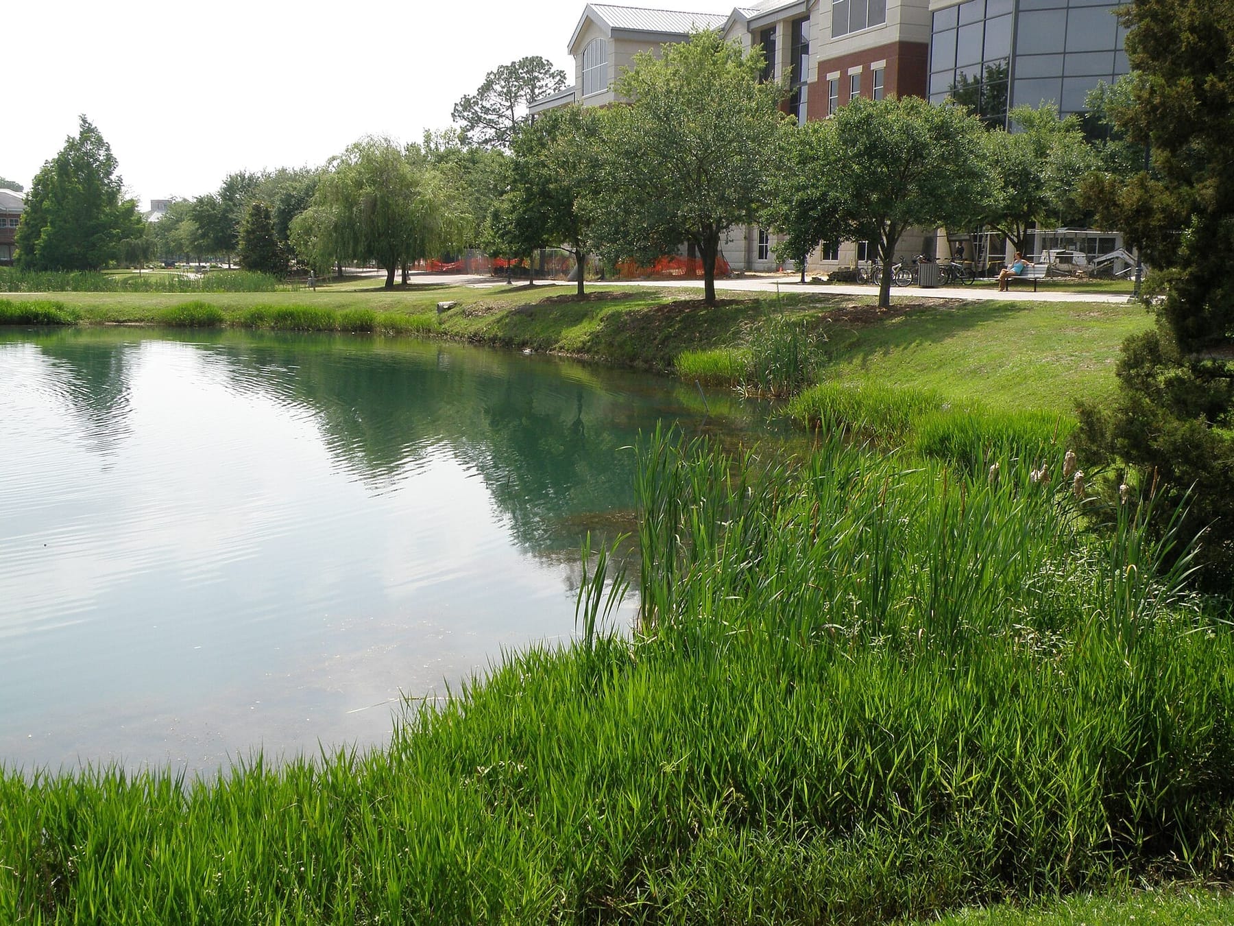 GeorgiaSouthernUniversityViewingLibraryAcrossLakeSummer2008 (photograph from the Wikimedia Commons category Georgia Southern University)