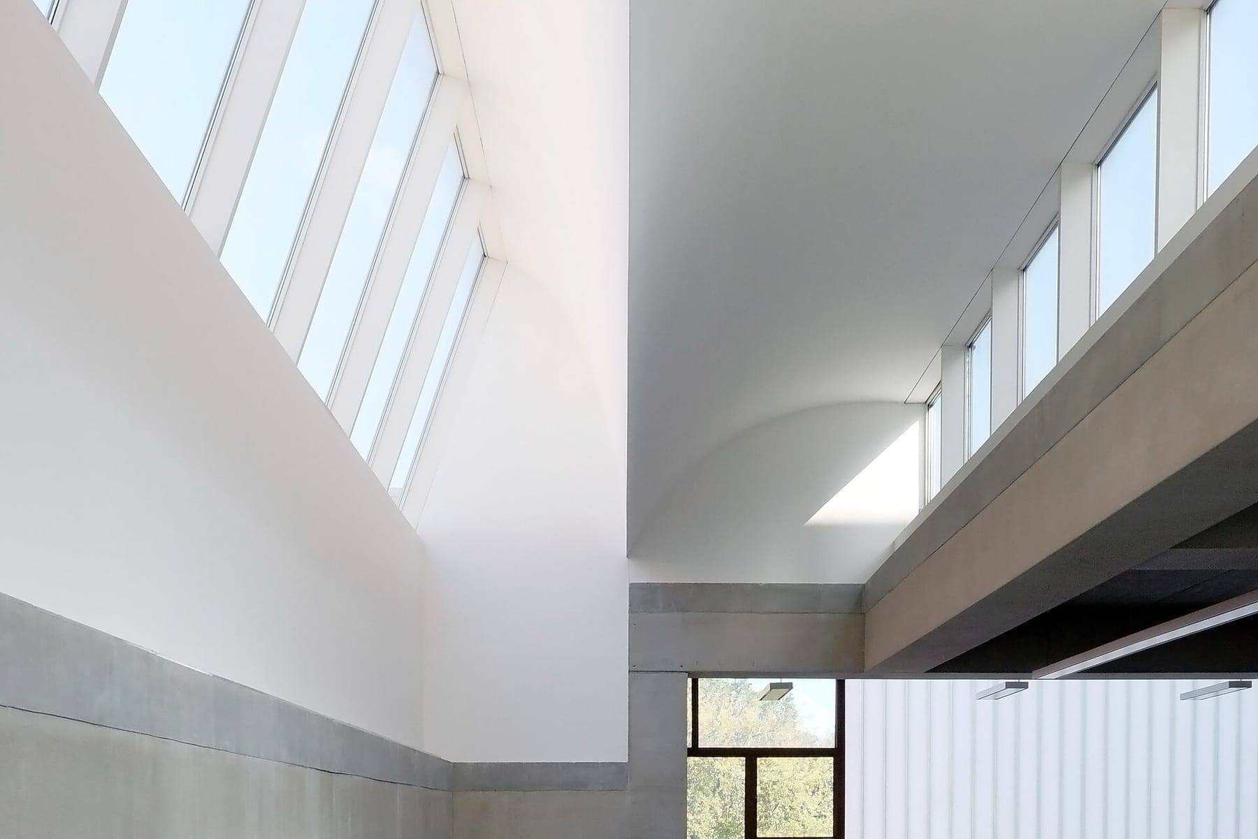 Pratt institute school of architecture (photograph from the Wikimedia Commons category Pratt Institute)