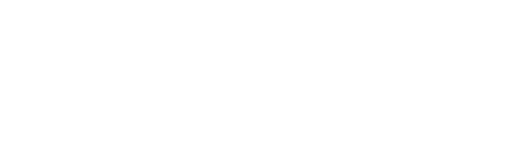 CUNY Brooklyn College logo